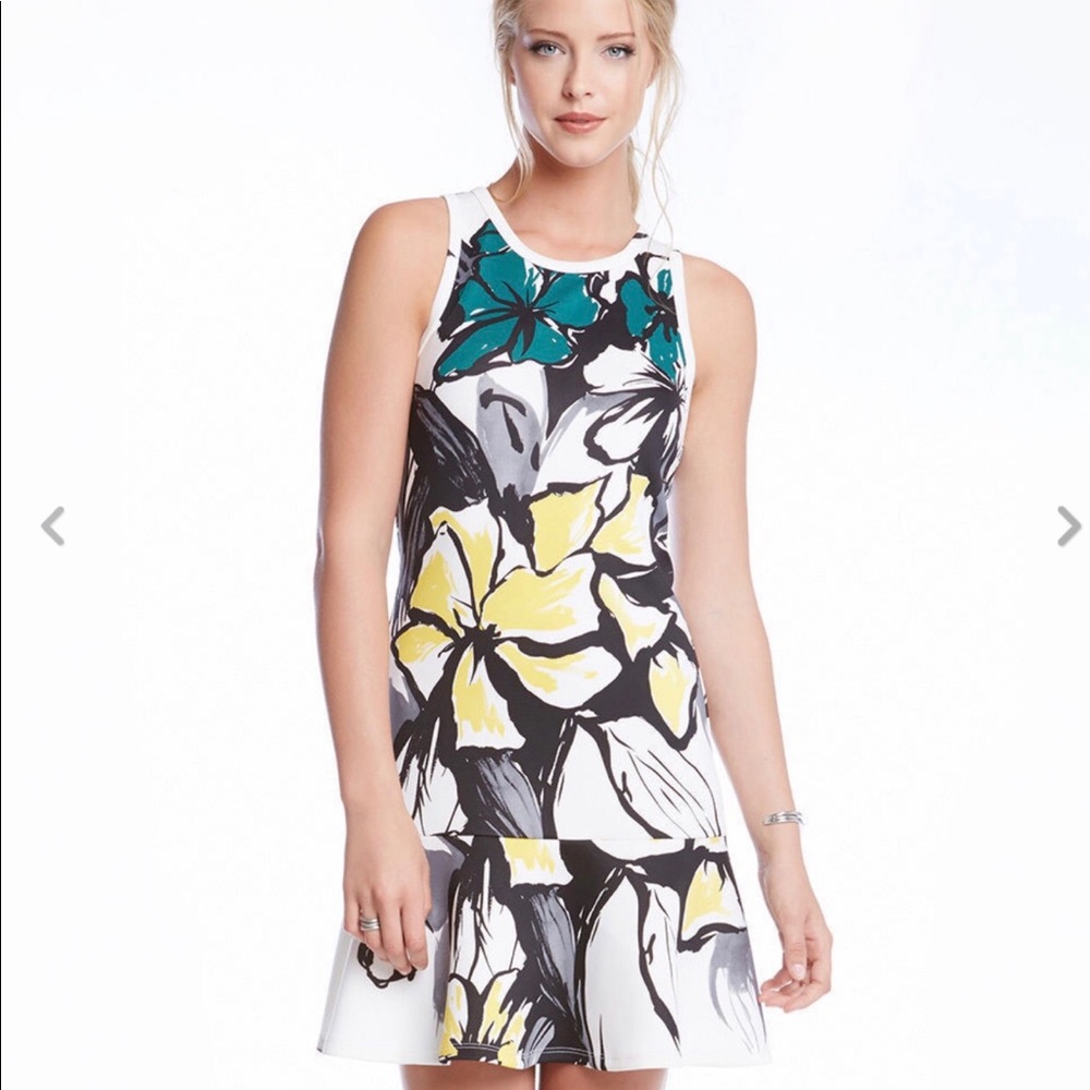 Karen Kane Dress